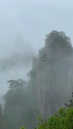 2023-24赛季英超第21轮观赛指南之3:利物浦对阵布莱顿的关键表现
