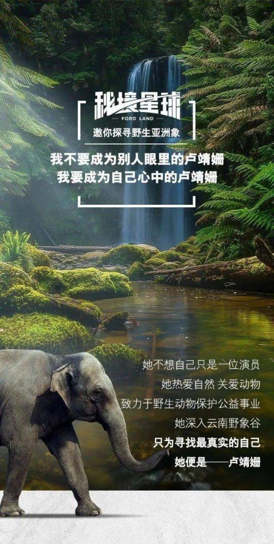 洞庭碧螺春入选“三品一标”全国典型