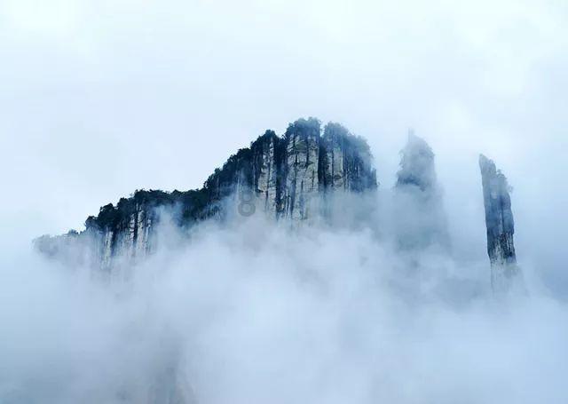 纯正土蜂蜜一般多少钱一斤？游戏画面