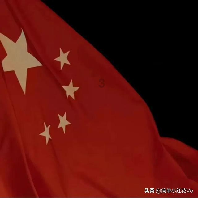 救援鹦鹉