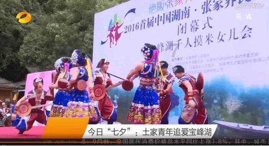 梦想的后院