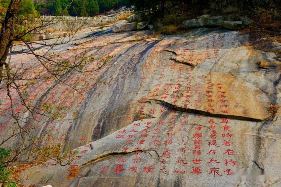僵尸敲方块